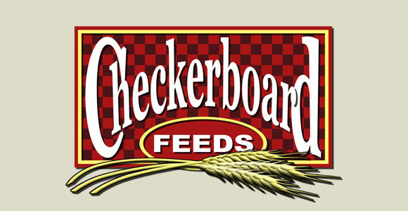 checkerboard feeds logo design