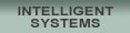 Intelligent Systems Division